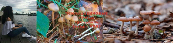 MDMA Волосово