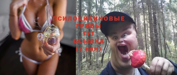 сатива Щигры