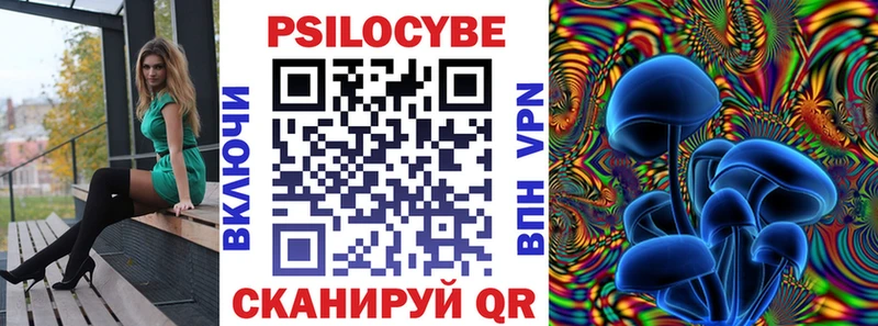 сайты даркнета Telegram  OMG онион  Ленинск-Кузнецкий  Псилоцибиновые грибы Cubensis 