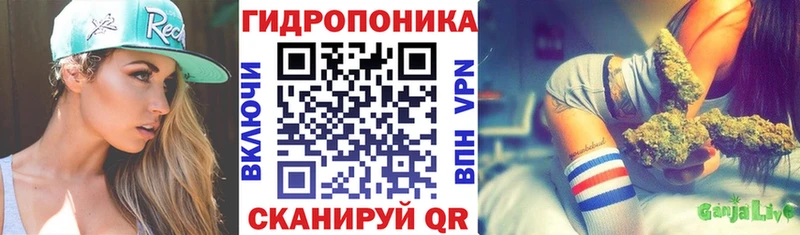 Марихуана индика  МЕГА   Ленинск-Кузнецкий  купить наркотики сайты 